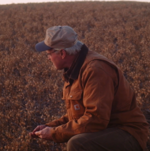 Farmer: Why Do Our Dietary Guidelines Recommend Healthy Vegetables the Least? | Opinion