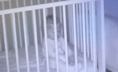 Mom Watches Baby Monitor Cam, Tears at What She Catches Baby Doing 