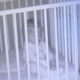 Mom Watches Baby Monitor Cam, Tears at What She Catches Baby Doing 