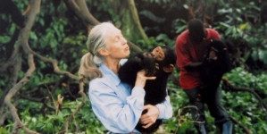 Jane Goodall, primatologist and chimpanzee researcher, dies at 91