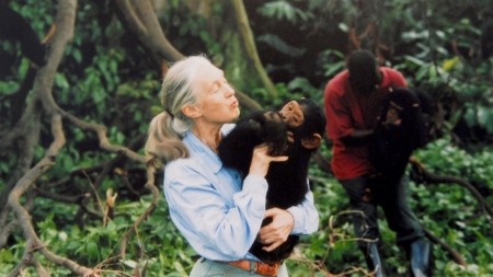 Jane Goodall, primatologist and chimpanzee researcher, dies at 91