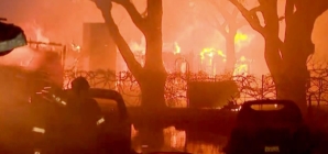 California’s home insurer of last resort seeks 36% rate hike following January fires