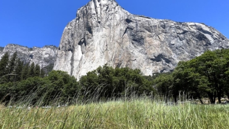 Climber dies in fall from Yosemite’s El Capitan during live stream
