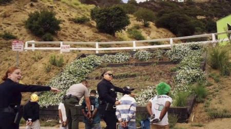 Six people who tried to hang a banner on the Hollywood sign arrested