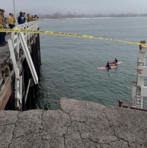 Driver dies, dog survives after vehicle goes over side of Santa Cruz Wharf in high surf