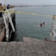 Driver dies, dog survives after vehicle goes over side of Santa Cruz Wharf in high surf