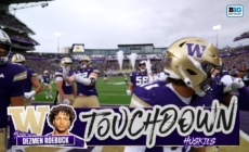 Demond Williams finds Dezman Roebuck for 13-yard TD, giving Washington lead over Illinois