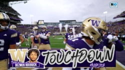 Demond Williams finds Dezman Roebuck for 13-yard TD, giving Washington lead over Illinois