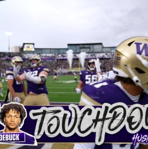 Demond Williams finds Dezman Roebuck for 13-yard TD, giving Washington lead over Illinois