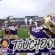 Demond Williams finds Dezman Roebuck for 13-yard TD, giving Washington lead over Illinois
