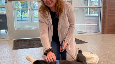A dog disappeared from his California home. He was found 2,000 miles away