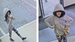 Mystery road trip becomes focus of search for missing Melodee Buzzard