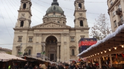 Majestic 23-Meter Silver Fir Chosen as the Nation’s Christmas Tree