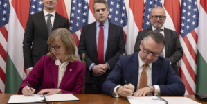 Frost Creates New Realities on the Gas Market: Hungary Exports to Romania