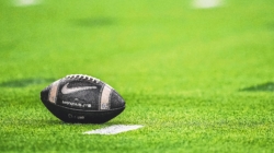 Florida Sports Betting: Legal Sportsbooks and Best DFS Sites