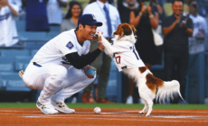 Dodgers Superstar Shohei Ohtani Writes Children’s Book About His Dog Decoy