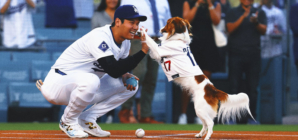 Dodgers Superstar Shohei Ohtani Writes Children’s Book About His Dog Decoy