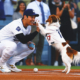 Dodgers Superstar Shohei Ohtani Writes Children’s Book About His Dog Decoy