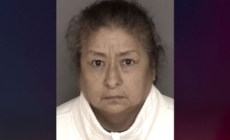 California mom sentenced for abandoning newborn to die in 1994