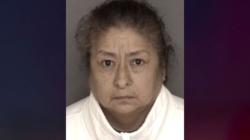 California mom sentenced for abandoning newborn to die in 1994