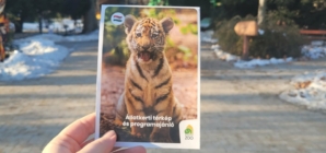 Species Conservation Mission: Csülök the Indian Rhino Moving to Poland