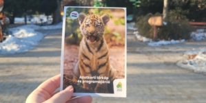 Species Conservation Mission: Csülök the Indian Rhino Moving to Poland