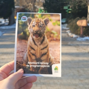 Species Conservation Mission: Csülök the Indian Rhino Moving to Poland