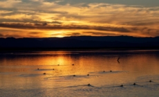 Southern California man charged with murder of missing teen after remains found in Salton Sea area