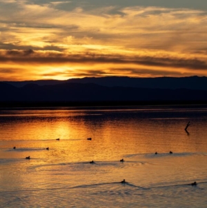 Southern California man charged with murder of missing teen after remains found in Salton Sea area