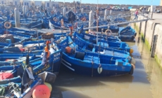 Essaouira – Gateway between desert and ocean