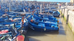 Essaouira – Gateway between desert and ocean