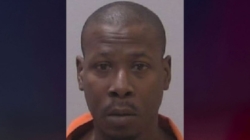 Man arrested after new homeowner found bodies in shed during renovations