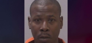 Man arrested after new homeowner found bodies in shed during renovations