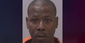 Man arrested after new homeowner found bodies in shed during renovations