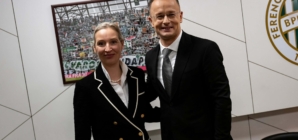 German Expat in Hungary Leaves EUR 700,000 to Anti-Immigration AfD Party