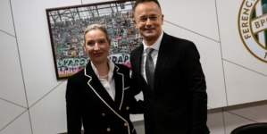 German Expat in Hungary Leaves EUR 700,000 to Anti-Immigration AfD Party