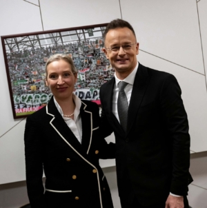 German Expat in Hungary Leaves EUR 700,000 to Anti-Immigration AfD Party