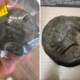 Man Pays $3.99 for Thrift Store Item—Expert Reveals It’s 2,200 Years Old