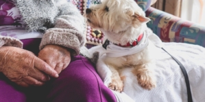 Vet Shares Top 3 Tips for Senior Pets, Including the ‘Hardest Rule’