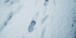 Couple Notices ‘Eerie’ Footsteps in Snow—Everyone is ‘Concerned’