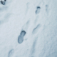 Couple Notices ‘Eerie’ Footsteps in Snow—Everyone is ‘Concerned’
