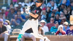 How to Watch Rockies vs Diamondbacks: Live Stream MLB Spring Training, TV Channel