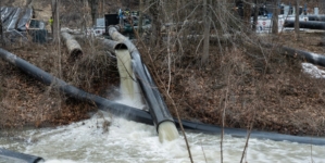 Democrat Facing Backlash for Post on Potomac River Sewage Spill