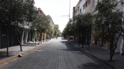 Life After El Mencho: How Guadalajara Survived Three Days of Chaos