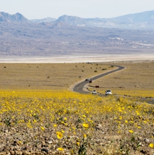 Rare phenomenon to hit the hottest place in America