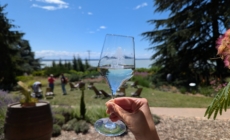 Lake Balaton Is a Constantly Renewing, Strong Region, Says Minister