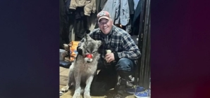 Man takes plea deal in Wyoming wolf cruelty case