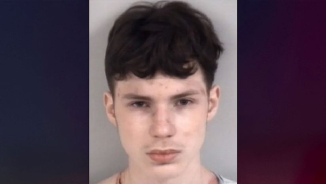 Teen wrestler charged with murder after mom found stabbed in recycling bin