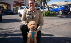 Goldendoodle abandoned at airport is adopted by cop who rescued her