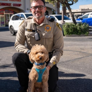 Goldendoodle abandoned at airport is adopted by cop who rescued her